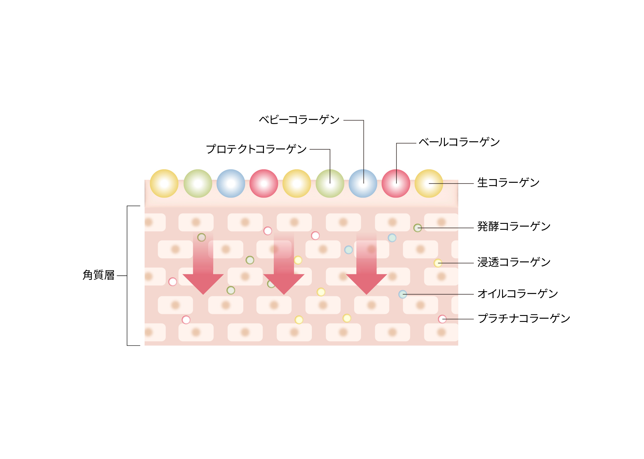 エポオールインワン 大容量サイズ ｜ エポラ（公式）オンラインショップ