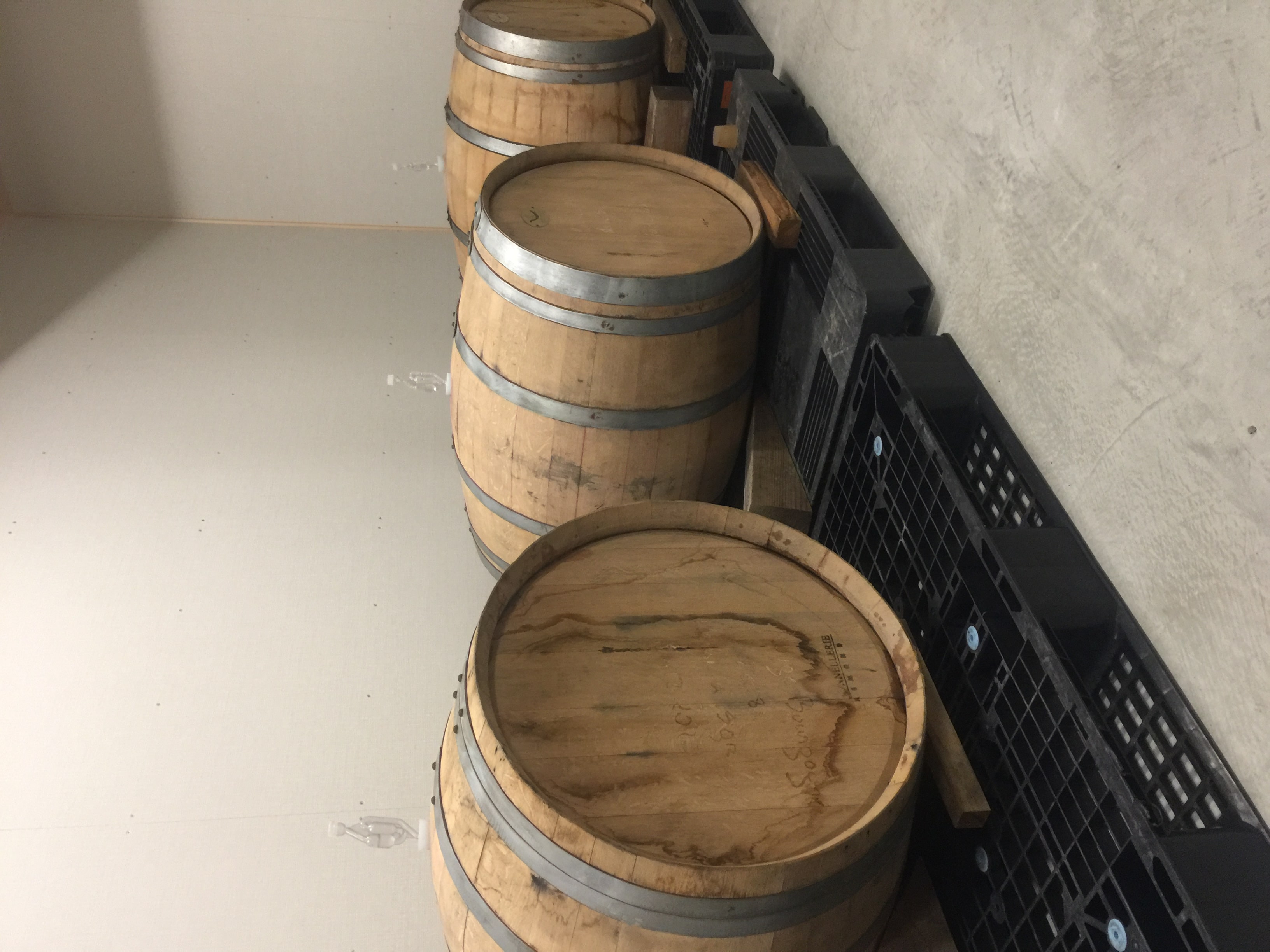 朱2025ロゼ「GRAPE SHIP」(宅配): SORAKARA OTODOKE｜JAL Mall