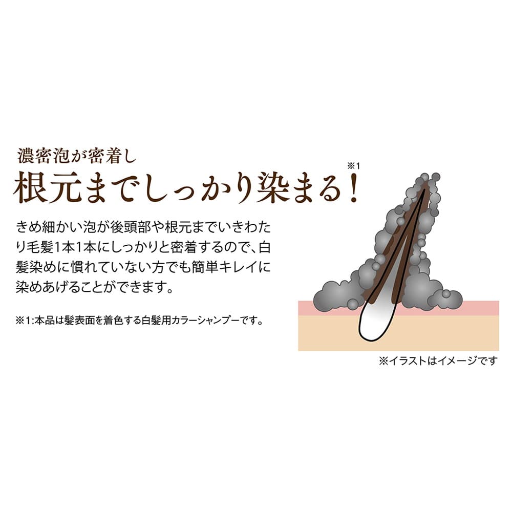 利尻 炭酸カラーシャンプー ダークブラウン 180g: サンドラッグ｜JAL