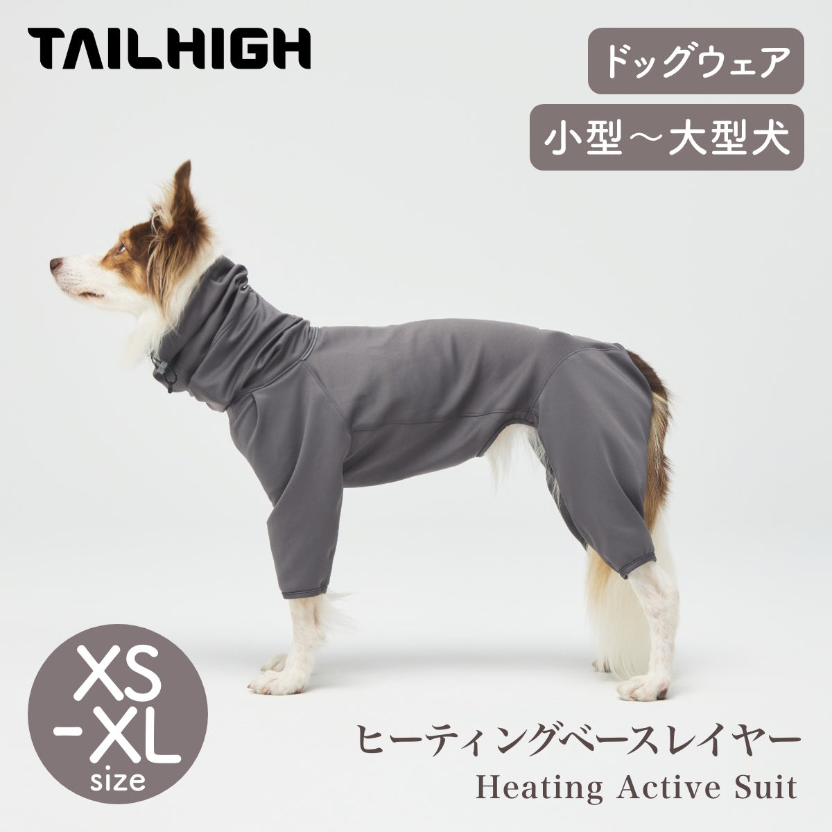TAILHIGH / テールハイ