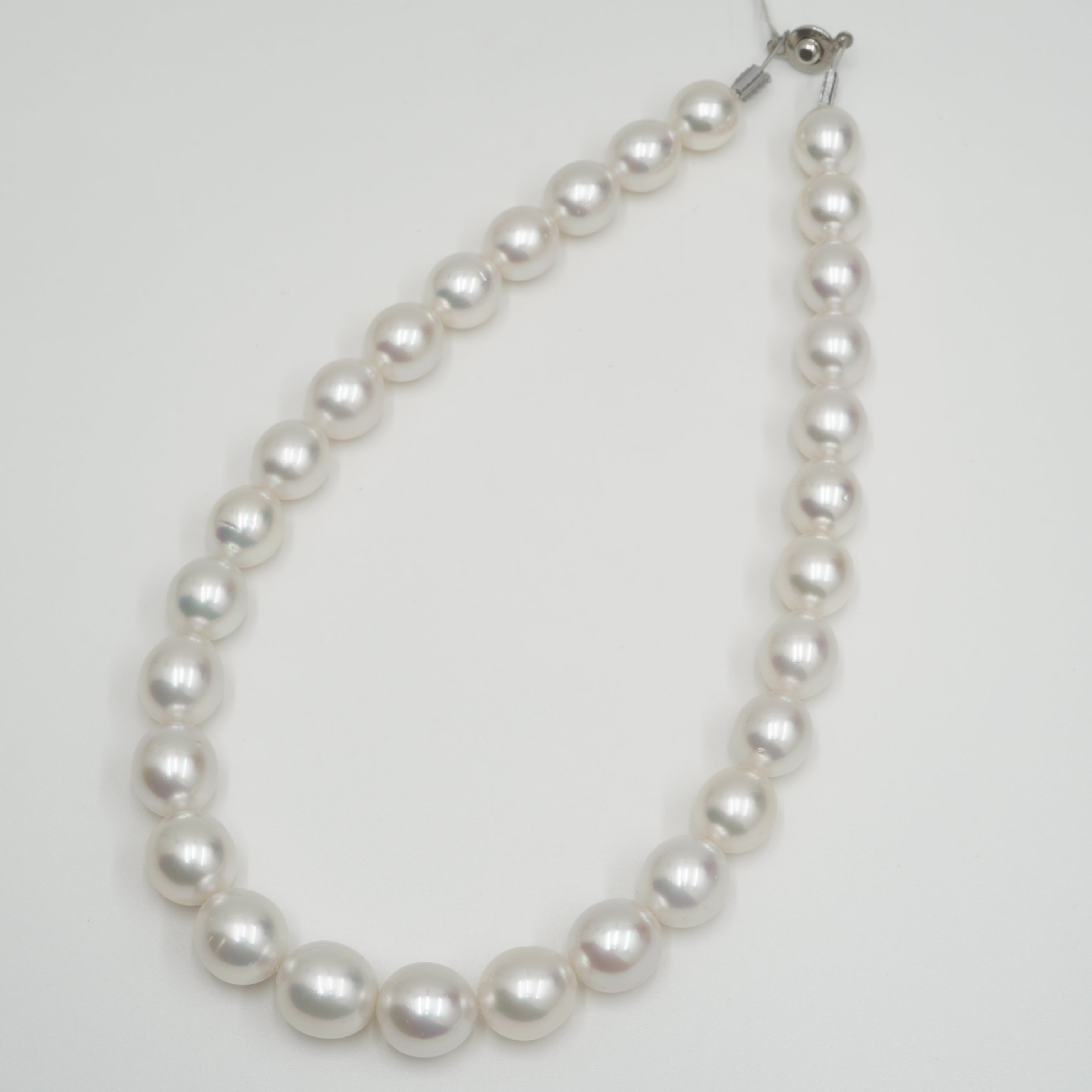 白蝶 ネックレス 14.6x11.5mm(Phoenix) – eikopearl