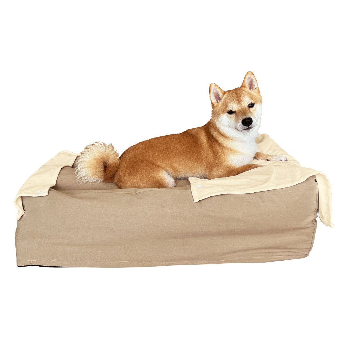 誤嚥・床ずれ防止 E字型 介護用ドッグベッド 防水カバー付き Mサイズ