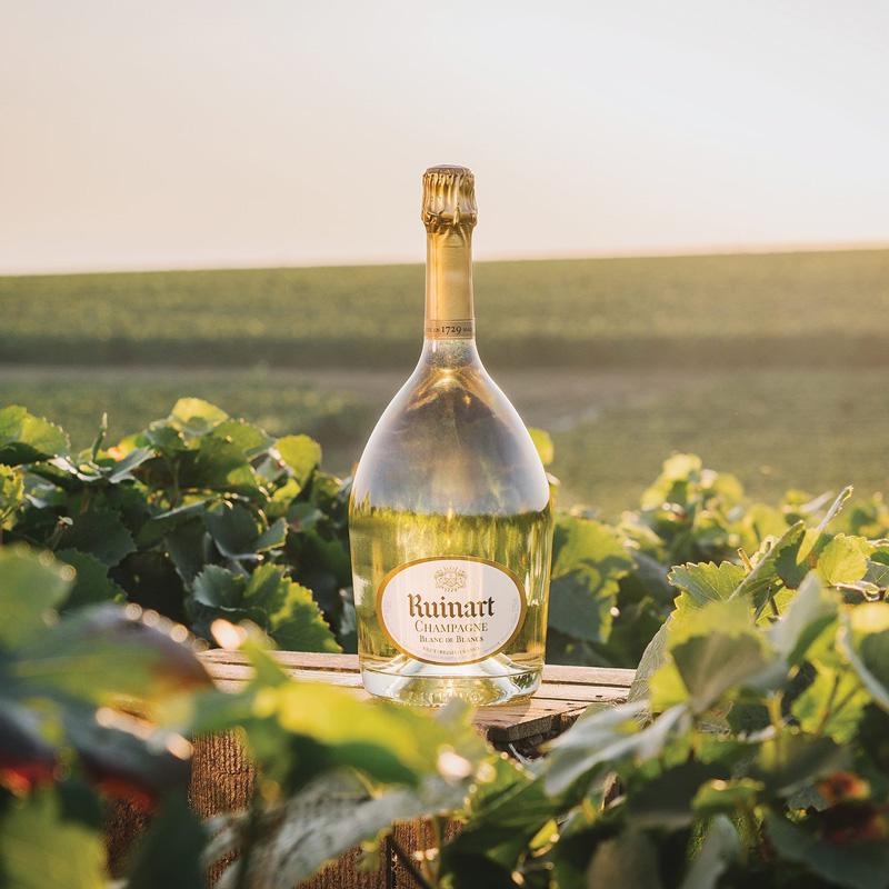 使用中】ルイナール TEST RUINART | エノテカ - ワイン通販