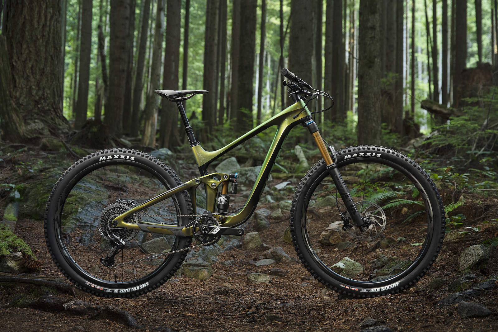First Ride: 2020 Giant Reign Advanced 29 - Pinkbike