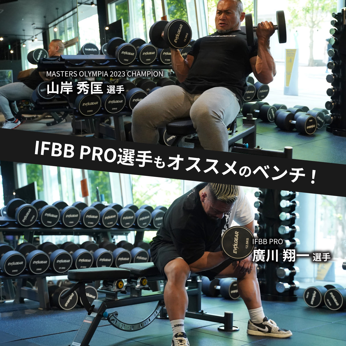 EVOLGEAR アジャスタブルインクラインベンチ