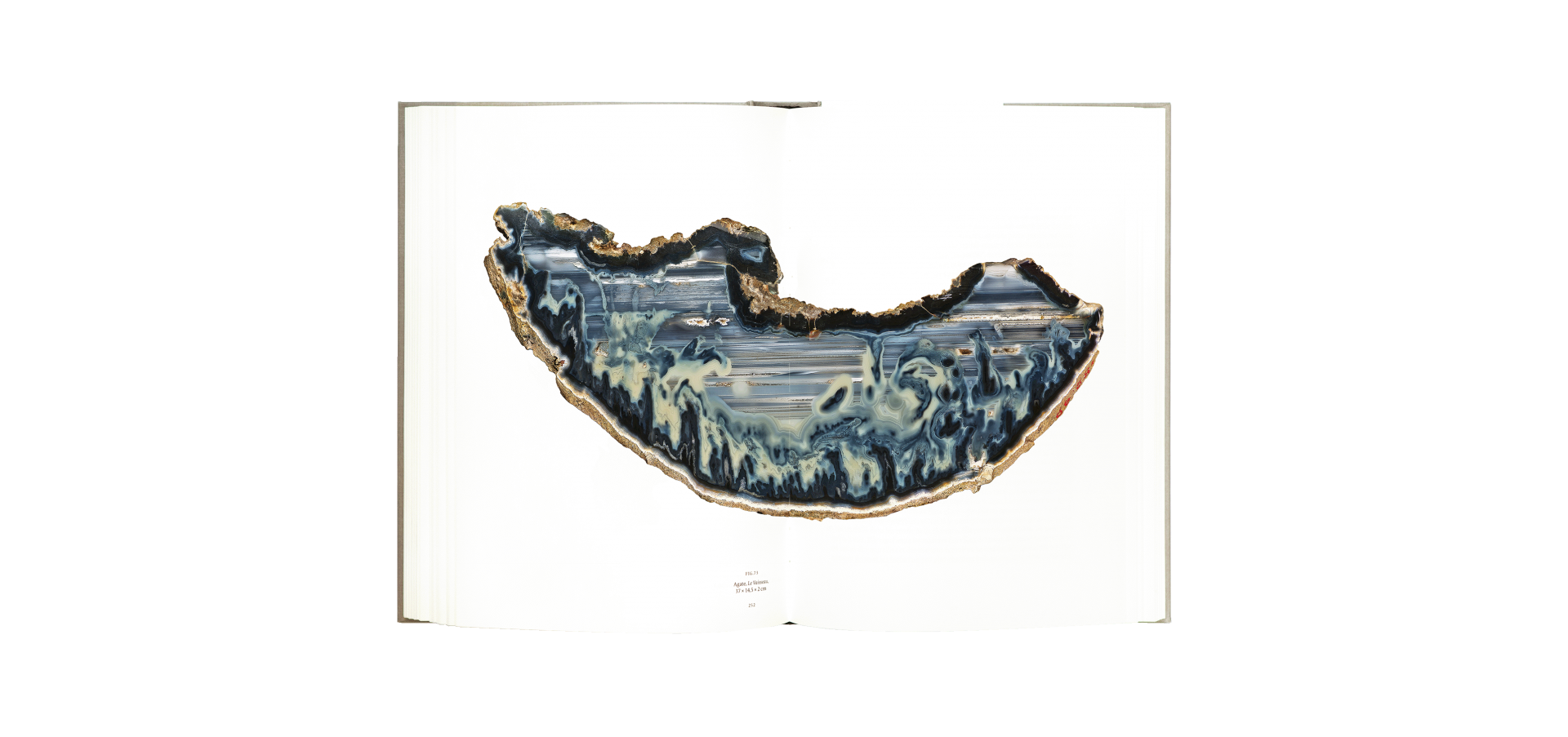 Roger Caillois, la lecture des pierres - Atelier EXB