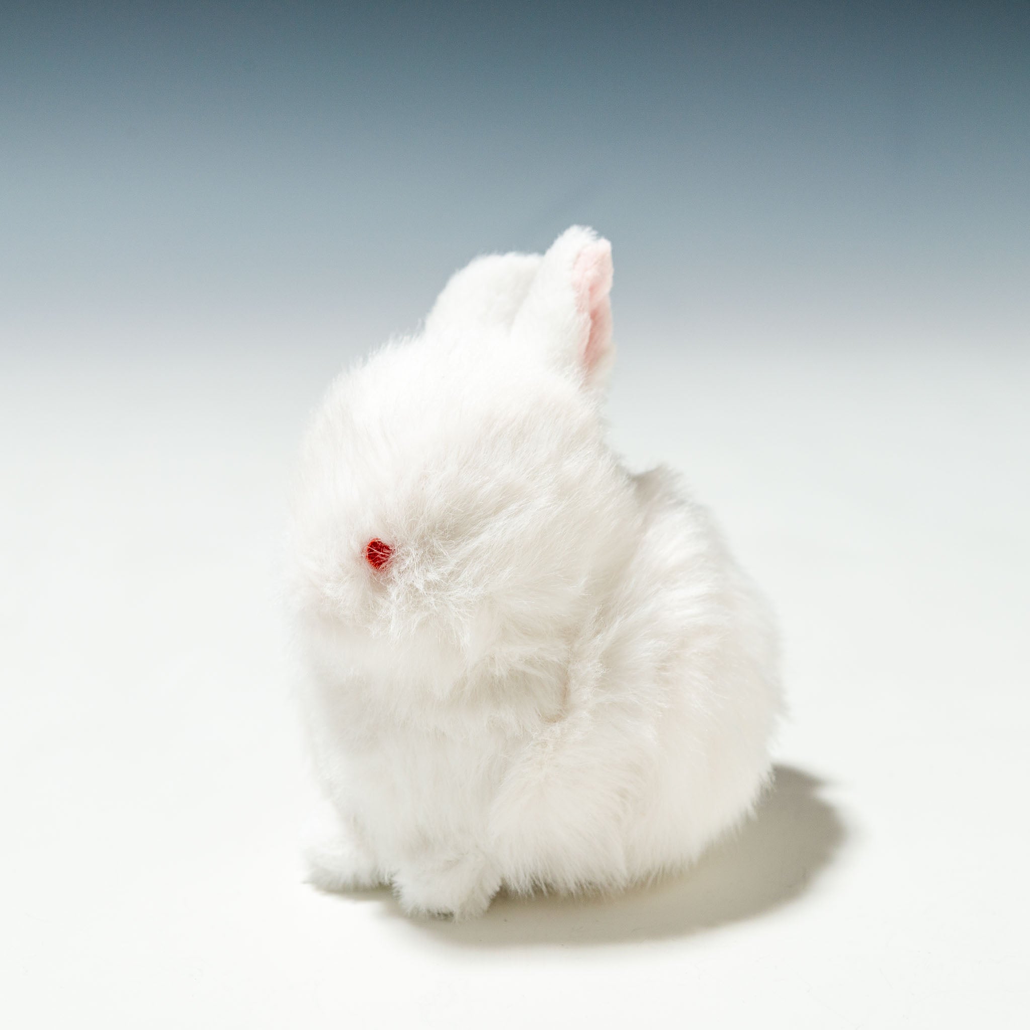 内藤デザイン研究所 ぬいぐるみ わたぽ 北の動物 全4種 - エステルノ