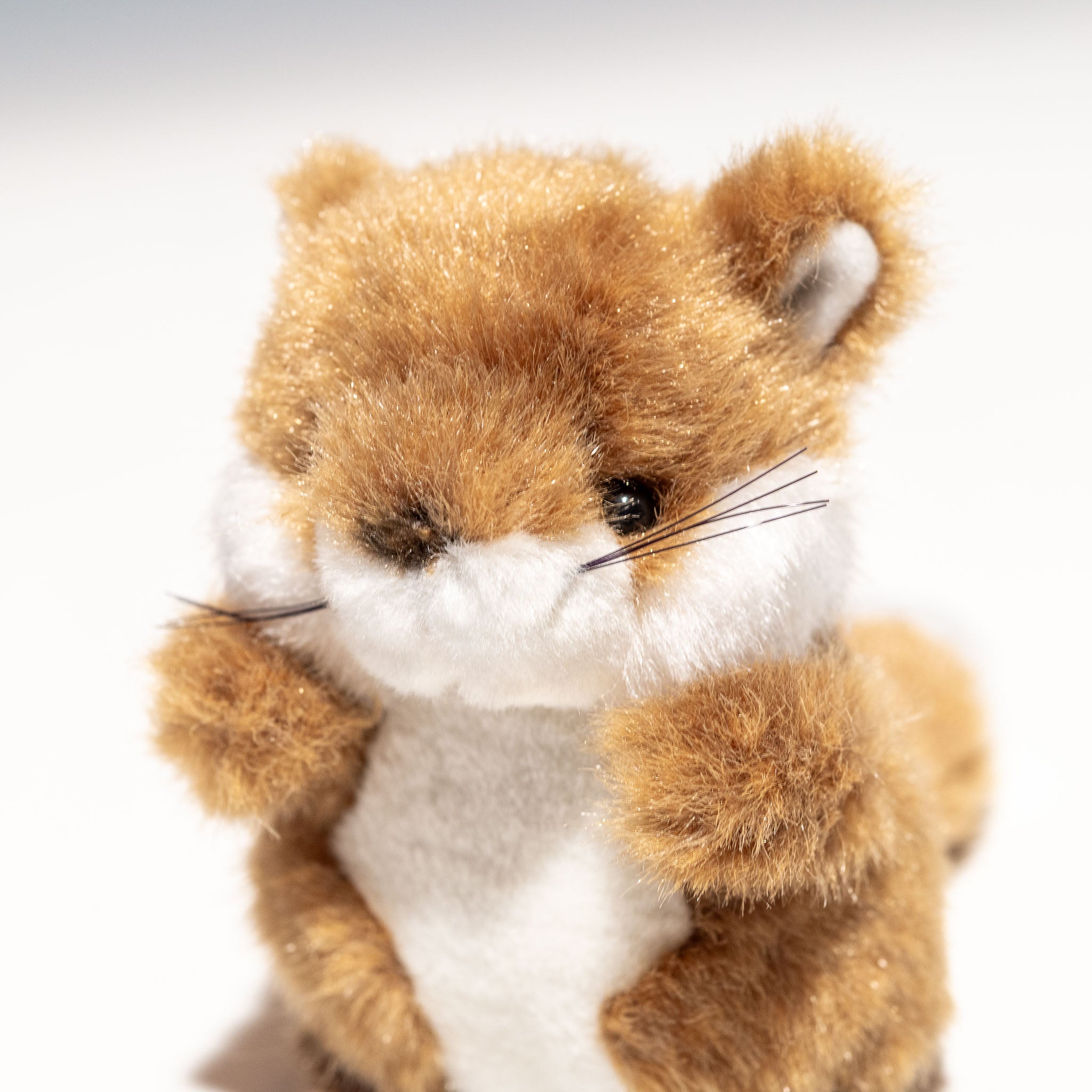 たけのこ TAKENOKO ぬいぐるみ プチプチらんど 森のなかま キツネ