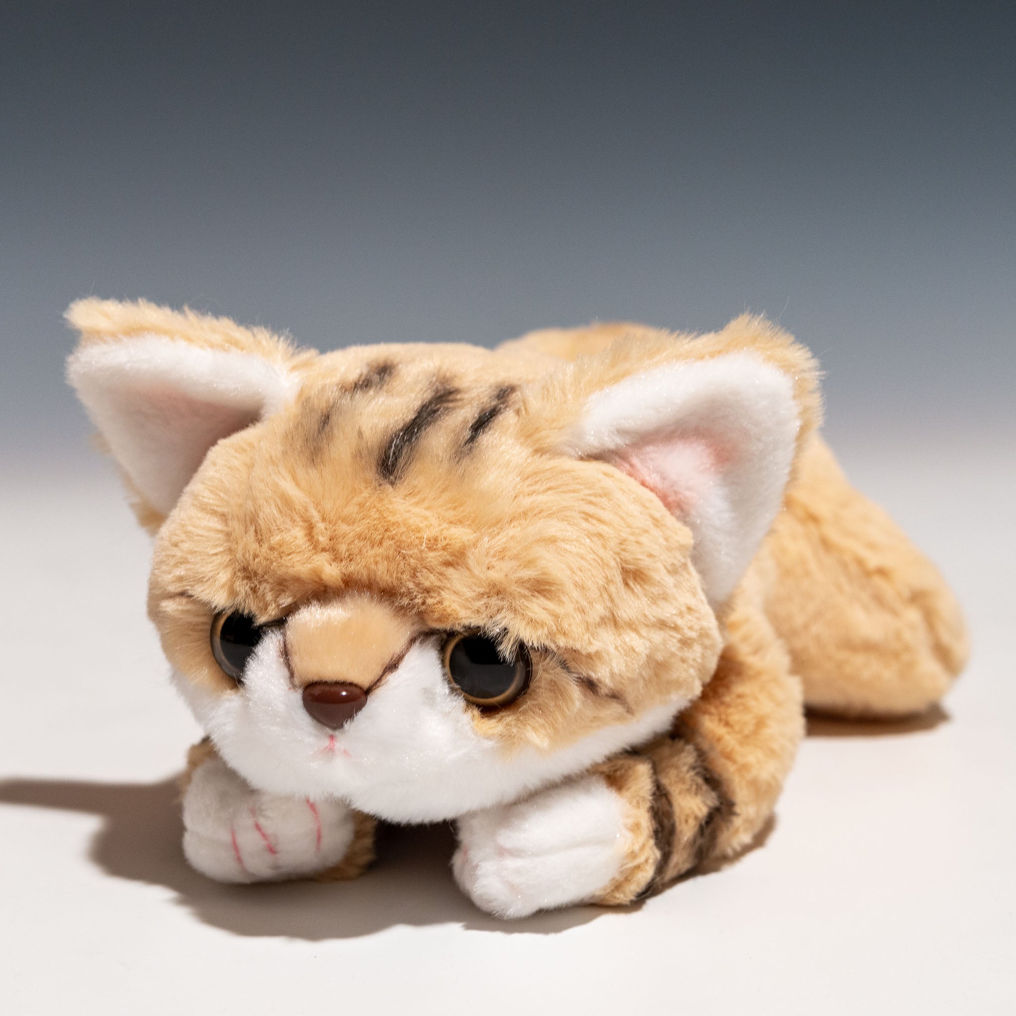 CUTE キュート販売 ぬいぐるみ くたくたスナネコ S Z0322・SS Z0324