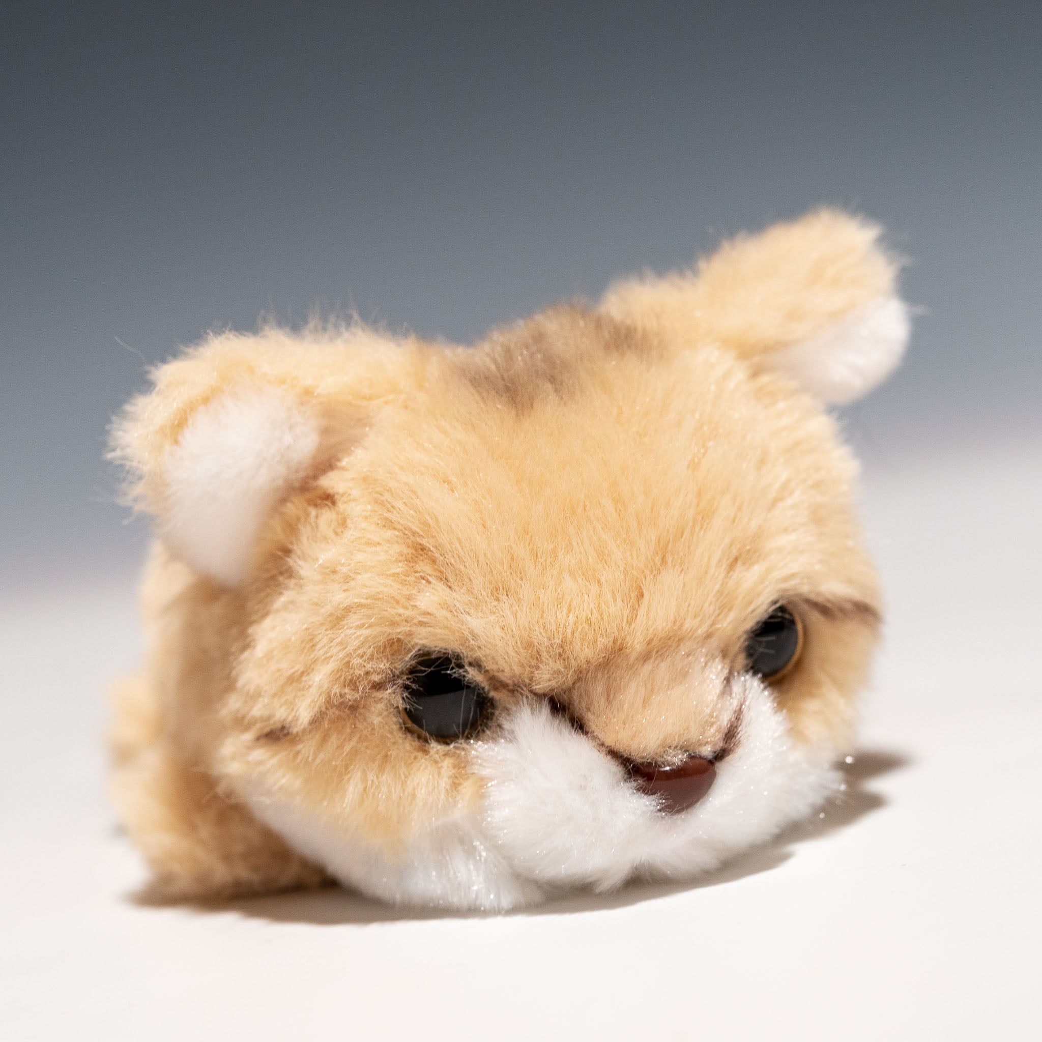 CUTE キュート販売 ぬいぐるみ てのひらスナネコ Z0327 - エステルノ