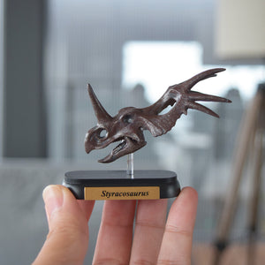 Styracosaurus Skull Mini Model – Favorite official website