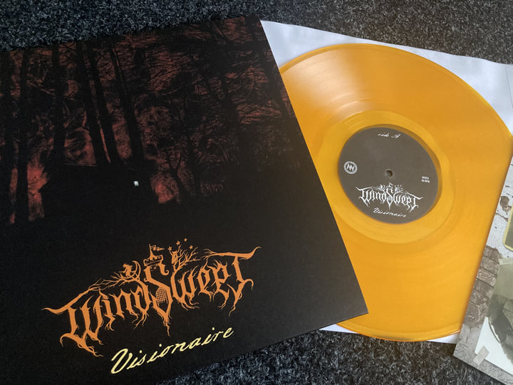 Visionaire | Windswept | Heidens Hart Records