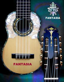 チャランゴのお部屋