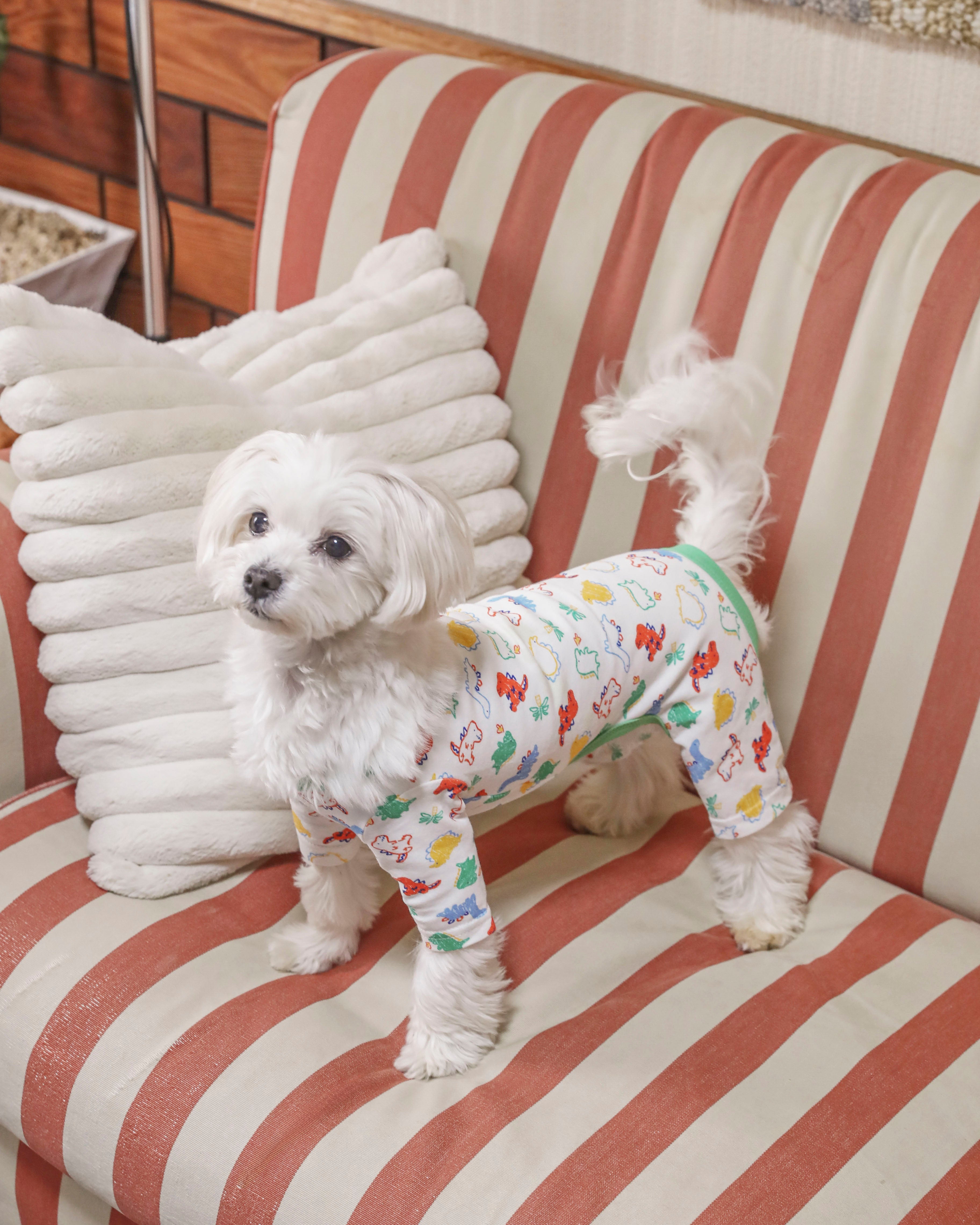 犬 恐竜柄ロンパース【FABOGNI(ファボンニ)】Cotton Rompers (dinosaur