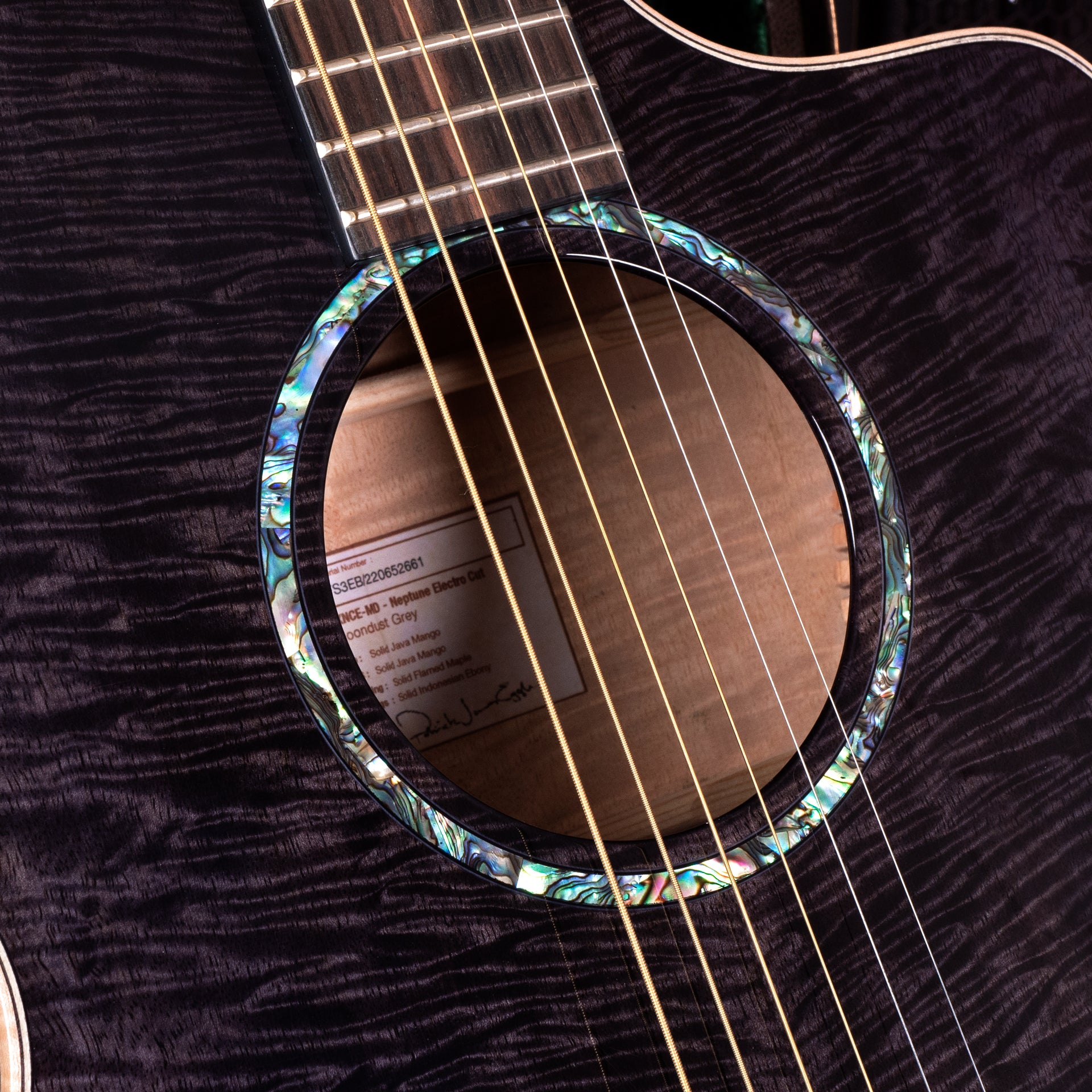 Faith FX Neptune Cutaway Electro Moondust Grey FXNCE-MD – Faith