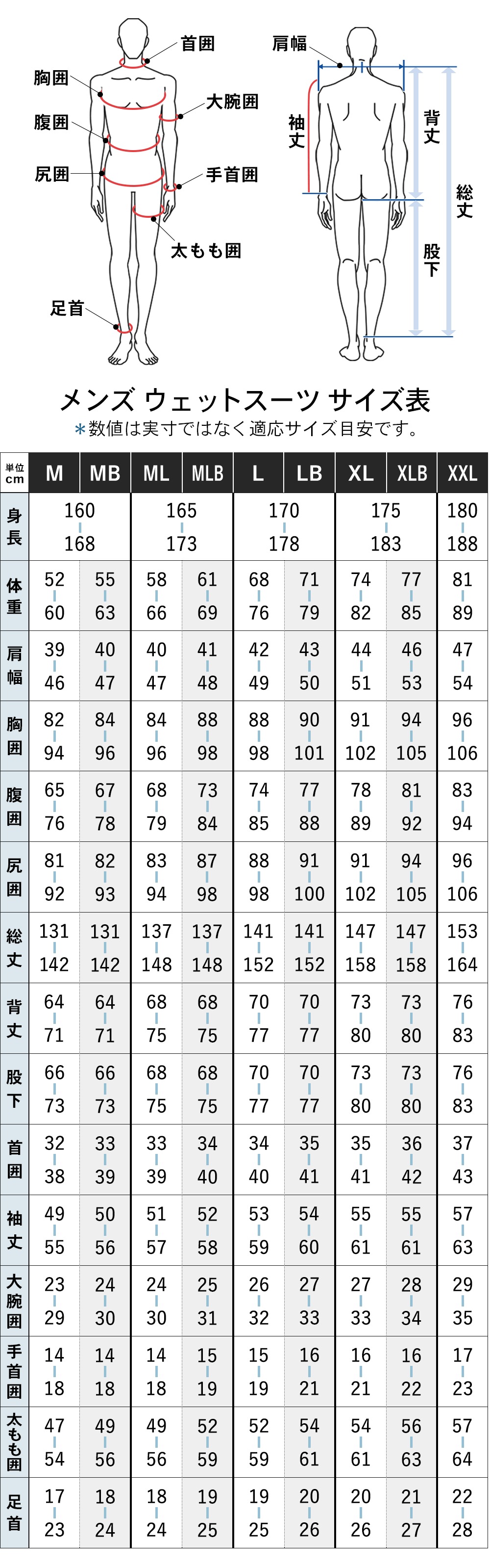 FELLOW メンズ セミドライ ロングチェストジップ 5x3mm M～XXL 全1色