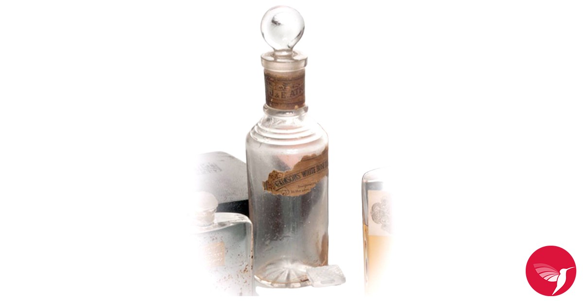 White Rose Atkinsons perfume - a fragrance for women 1860