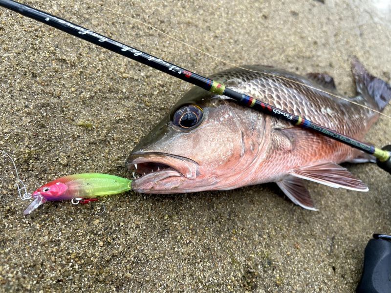 M50/M60 SR-S color code [Fin-ch] - Fin‐ch