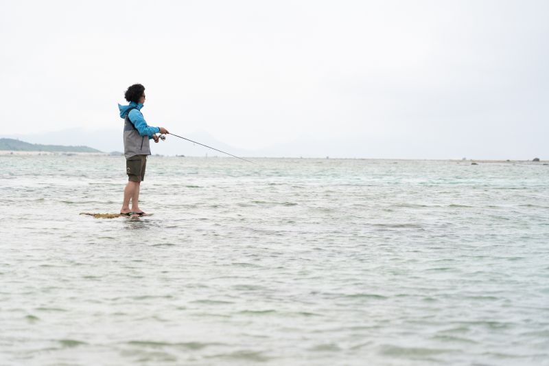 WOLF EVOLVE Type beat 花緑青（ウォルフエヴォルヴタイプビートはな