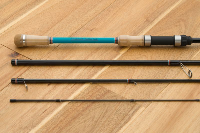 CANARIA AZORES81 (カナリア アゾレス81) - Fin‐ch