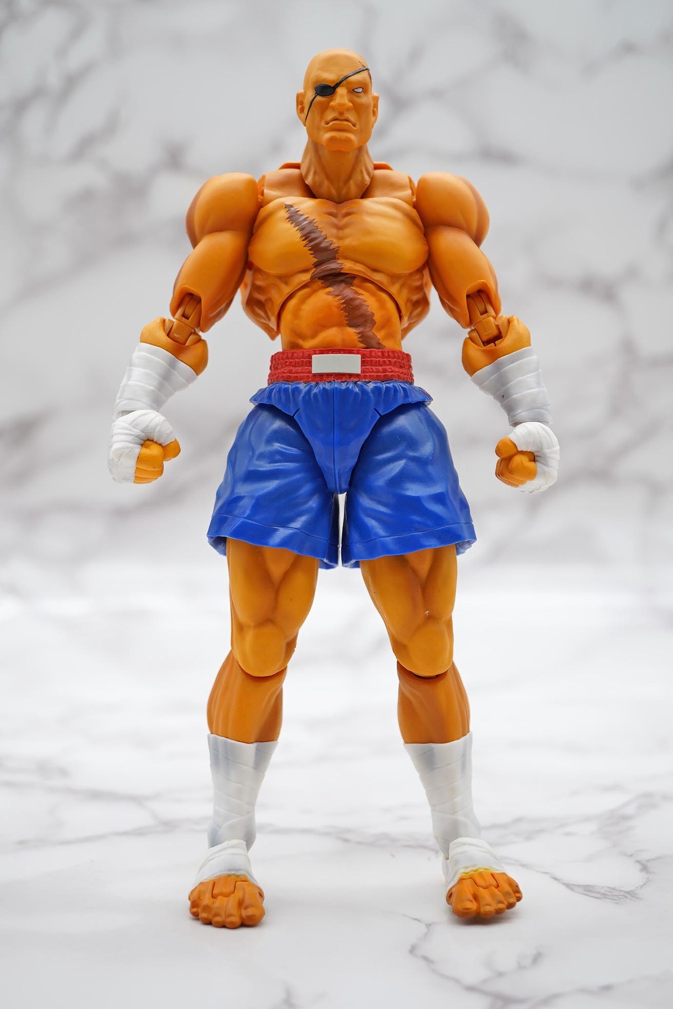 S.H.フィギュアーツ サガット】: フィギュアヲタ最前線