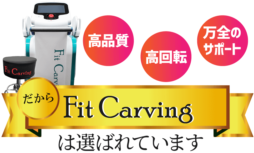 エステ用業務用痩身機器 フィットカービング