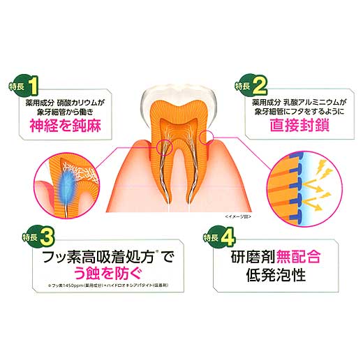 製品詳細「ガム・プロケア ハイパーセンシティブ 集中ケアタイプ