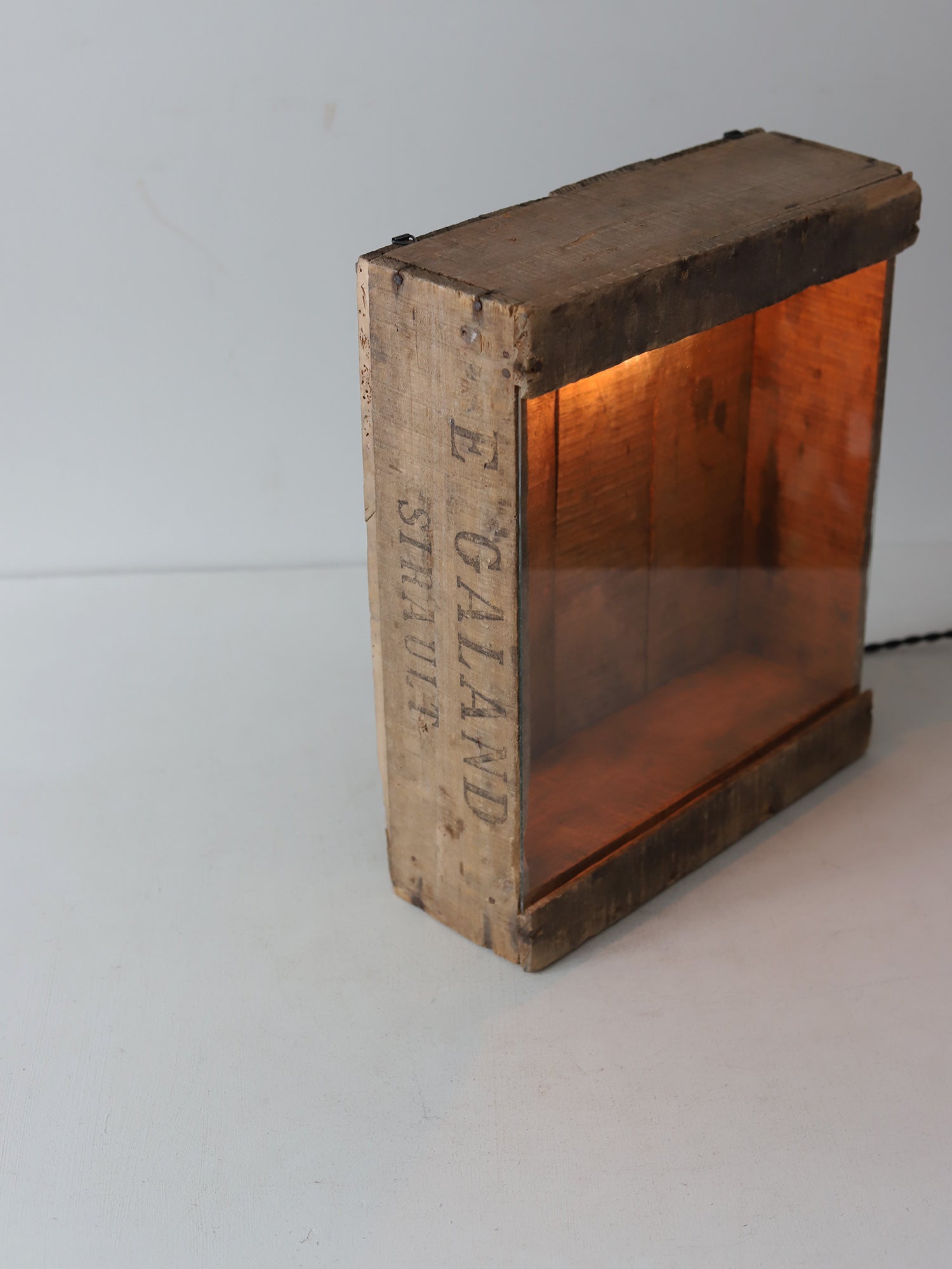 GLASSCASE WITH LAMP – FIVE FROM THE GROUND