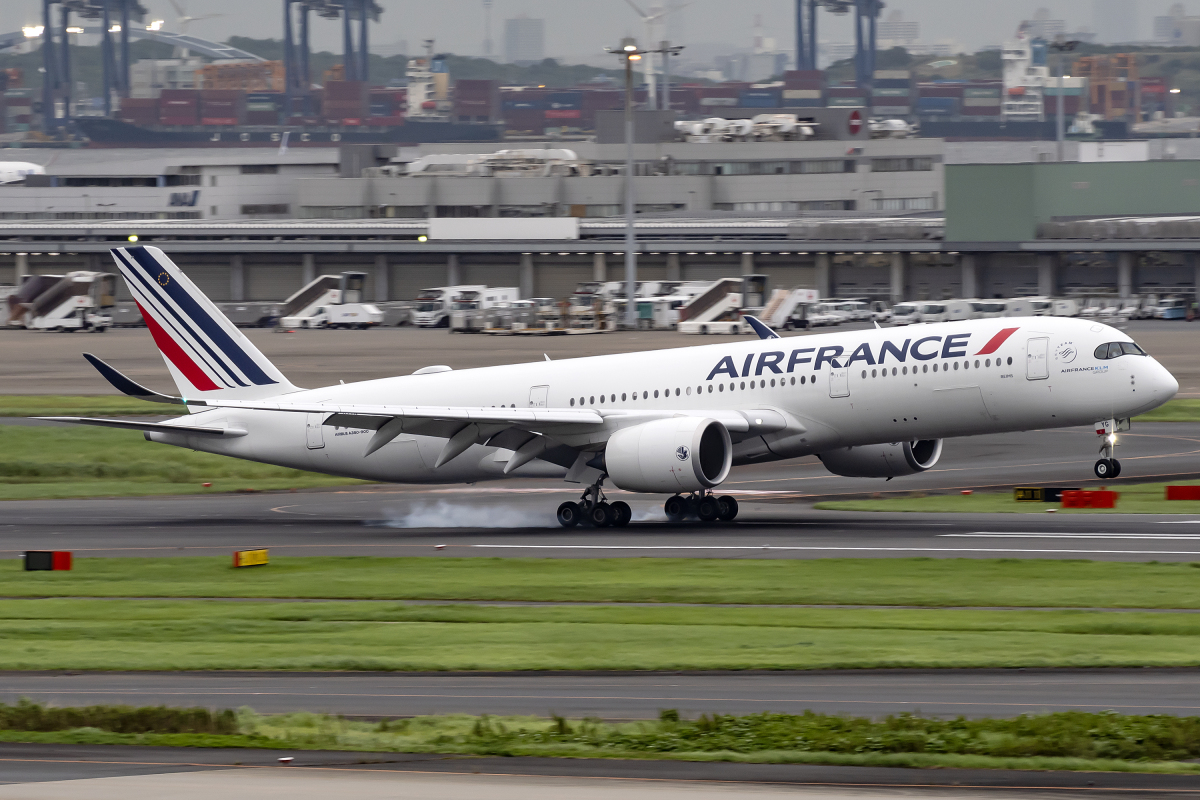 ハワイアン L-1011 エールフランス A319 米空軍 F-5A タグセット