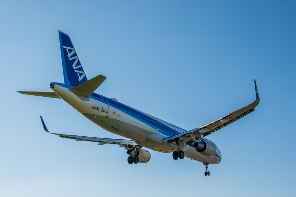 全日空 Airbus A321 JA113A 伊丹空港 航空フォト | by Takuya K.さん