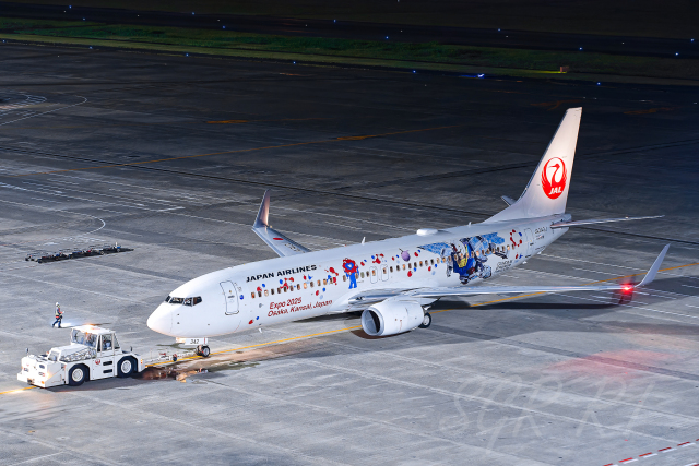 機体記号 : JA342J (JAL) 特別塗装機「JALガンダムJET」 航空フォト