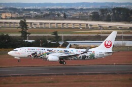 奄美・沖縄 世界自然遺産」特別塗装機 日本トランスオーシャン航空