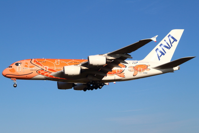 フライングホヌ ラー/3号機」特別塗装機 全日空 (A380 | JA383A