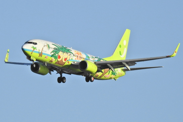 ナッシージェット宮崎」特別塗装機 ソラシド エア (737-800 | JA803X