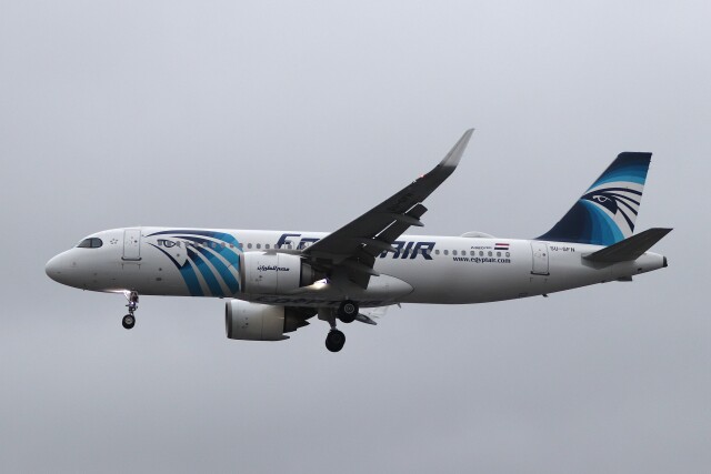 エジプト航空 機材一覧 エアバスA340-200 | FlyTeam(フライチーム)