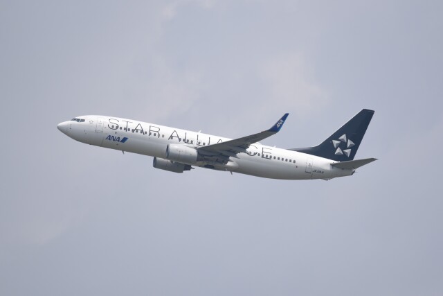 スターアライアンス」特別塗装機 全日空 (737-800 | JA51AN) ガイド