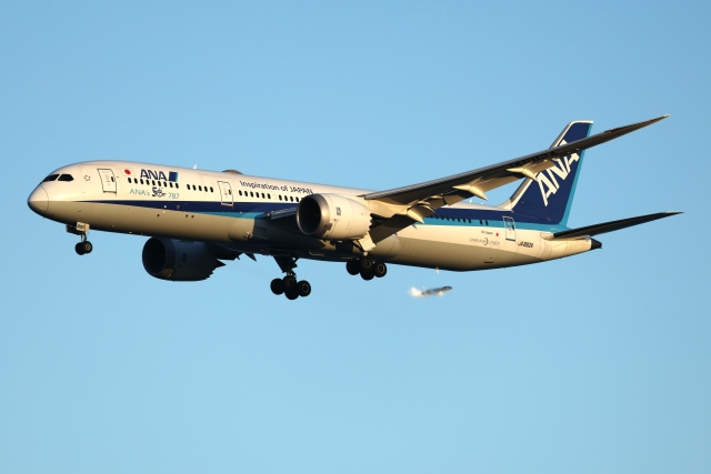 ANA's 50TH 787」特別塗装機 全日空 (787-9 | JA882A) ガイド| FlyTeam