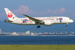 JAL (日本航空) 機材一覧 運用中 ボーイング787-8 ドリームライナー