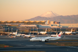 JAL (日本航空) 機材一覧 運用中 ボーイング787-8 ドリームライナー