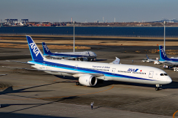 機体記号 : JA900A (ANA) 航空フォト(飛行機 写真・画像) | FlyTeam