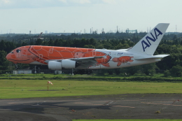 フライングホヌ ラー/3号機」特別塗装機 全日空 (A380 | JA383A
