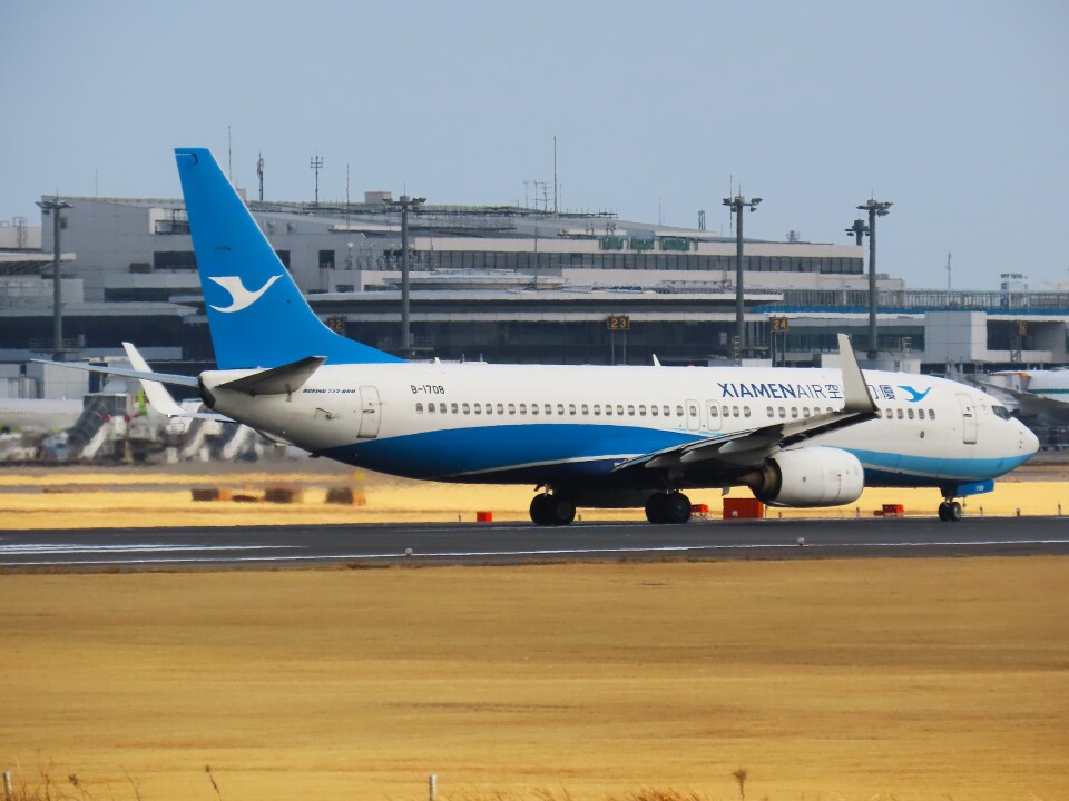 厦門航空 Boeing 737-800 B-1708 成田空港 航空フォト | by Kiyo.Hさん