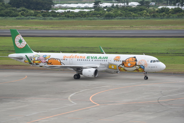 機体記号 : B-16205 (エバー航空) 航空機体ガイド | FlyTeam(フライチーム)