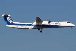 フライングホヌ ラー/3号機」特別塗装機 全日空 (A380 | JA383A