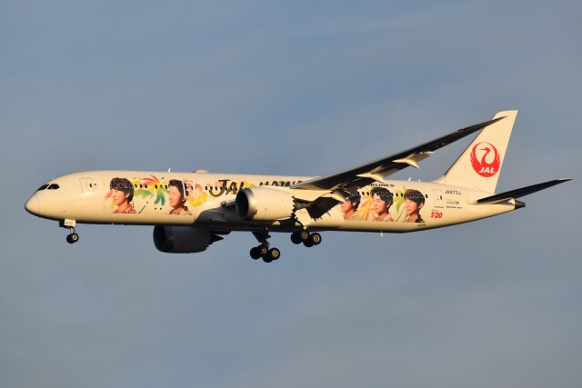 嵐ジェット ハワイ」特別塗装機 日本航空 (787-9 | JA873J) ガイド