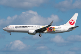 機体記号 : JA11RK (JTA) 特別塗装機「奄美・沖縄 世界自然遺産 2019