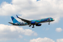 Her Art Here Plane New york/New Jersey」特別塗装機 ユナイテッド