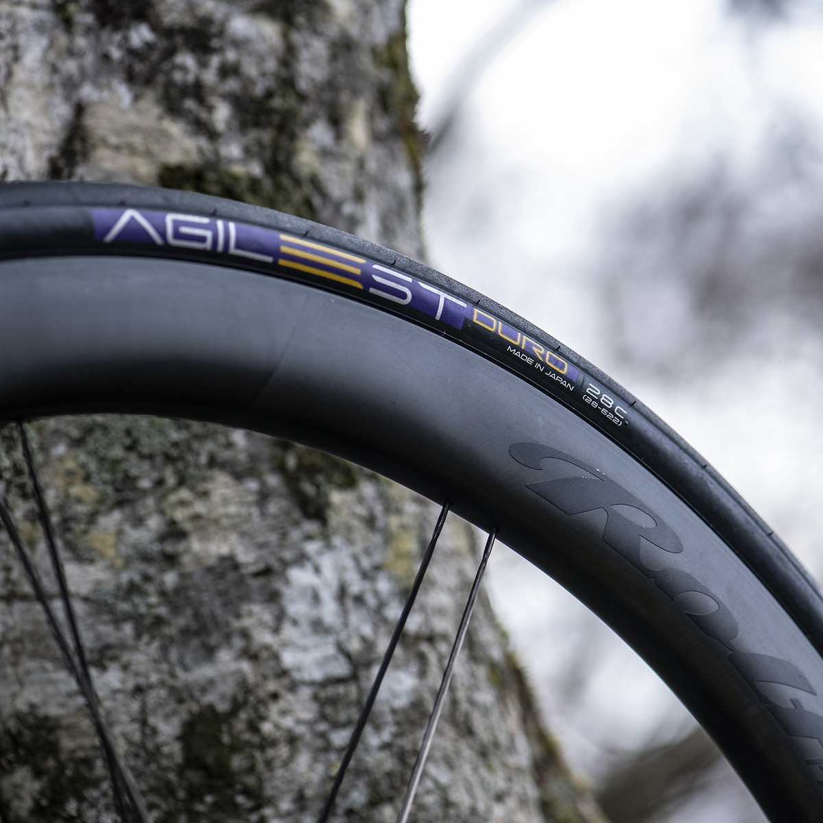 未知なる道を走るための安心感という性能 AGILEST DURO｜Panaracer