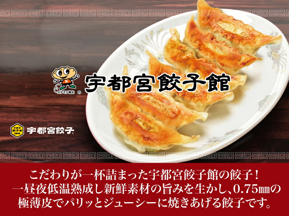 宇都宮餃子館 いろいろ楽しめる! 食べ比べ8色セット8種64個 – 福田屋