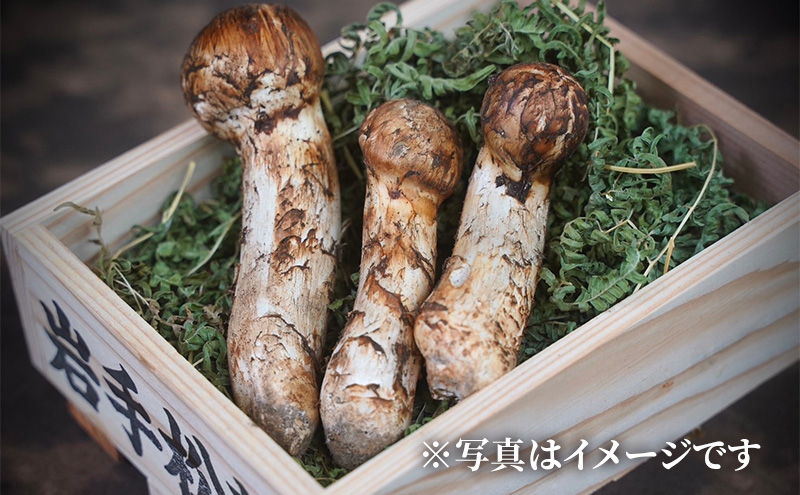 宮古の天然まつたけ600g 宮古産 まつたけ 天然まつたけ きのこ 野菜
